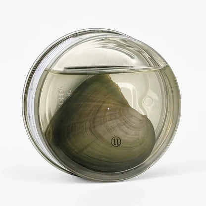 valentine's day special Female Pearl Necklace